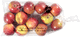 Apples