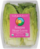 Romaine Heart Leaves